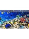 Tranh dán tường Đại Dương 3D DH-0005