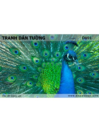 Tranh dán tường Động vật DV01 Tranh dán tường Động vật DV01