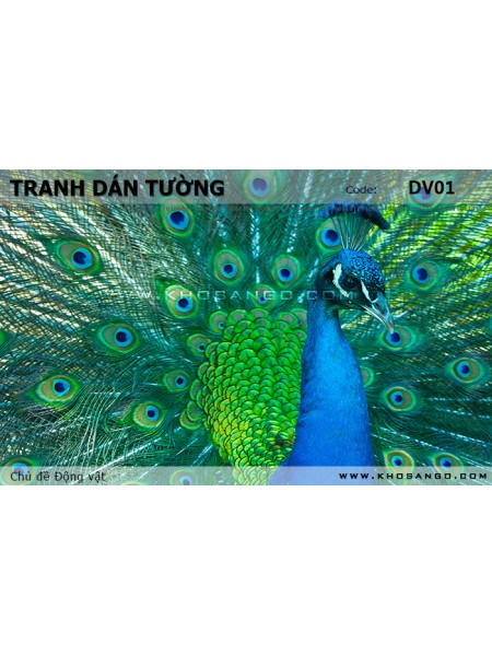 Tranh dán tường Động vật DV01 Tranh dán tường Động vật DV01