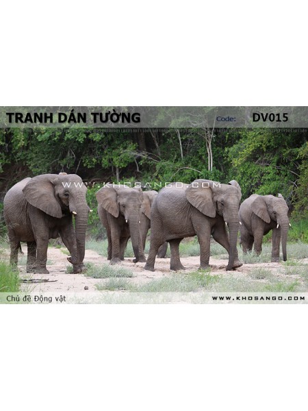 Tranh dán tường Động vật DV015 Tranh dán tường Động vật DV015