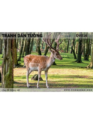 Tranh dán tường Động vật DV016 Tranh dán tường Động vật DV016