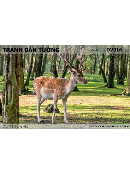 Tranh dán tường Động vật DV016 Tranh dán tường Động vật DV016