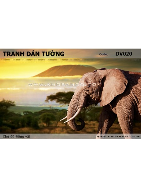 Tranh dán tường Động vật DV020 Tranh dán tường Động vật DV020