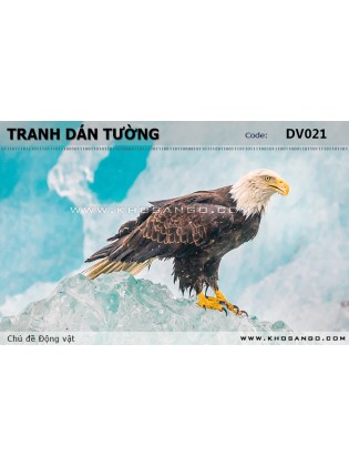 Tranh dán tường Động vật DV021 Tranh dán tường Động vật DV021