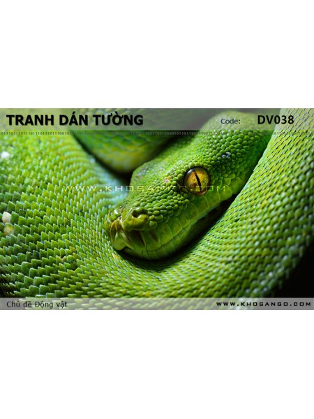 Tranh dán tường Động vật DV038 Tranh dán tường Động vật DV038