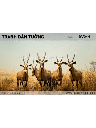 Tranh dán tường Động vật DV044 Tranh dán tường Động vật DV044