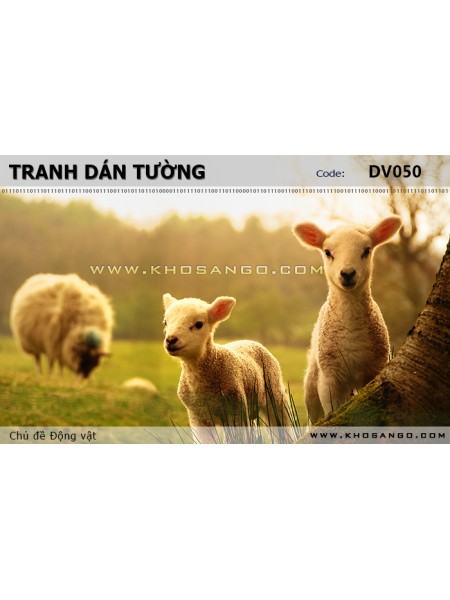 Tranh dán tường Động vật DV050 Tranh dán tường Động vật DV050