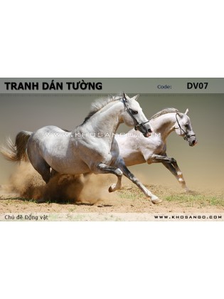 Tranh dán tường Động vật DV07 Tranh dán tường Động vật DV07