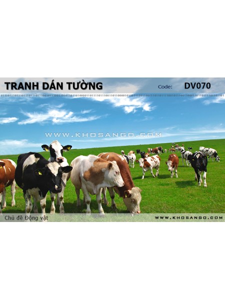 Tranh dán tường Động vật DV070 Tranh dán tường Động vật DV070