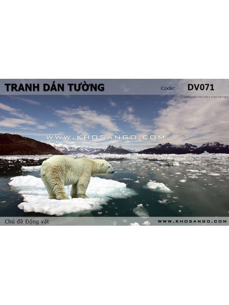 Tranh dán tường Động vật DV071 Tranh dán tường Động vật DV071