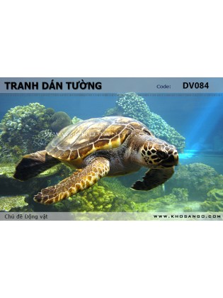 Tranh dán tường Động vật DV084 Tranh dán tường Động vật DV084