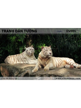 Tranh dán tường Động vật DV086 Tranh dán tường Động vật DV086