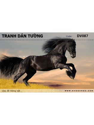 Tranh dán tường Động vật DV087 Tranh dán tường Động vật DV087