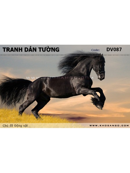 Tranh dán tường Động vật DV087 Tranh dán tường Động vật DV087