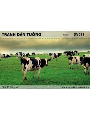 Tranh dán tường Động vật DV093 Tranh dán tường Động vật DV093