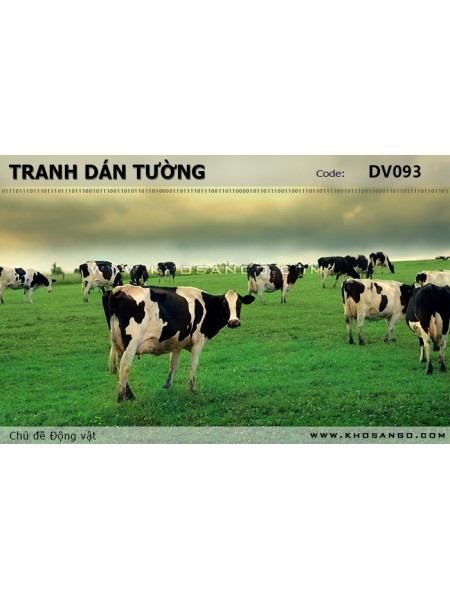 Tranh dán tường Động vật DV093 Tranh dán tường Động vật DV093
