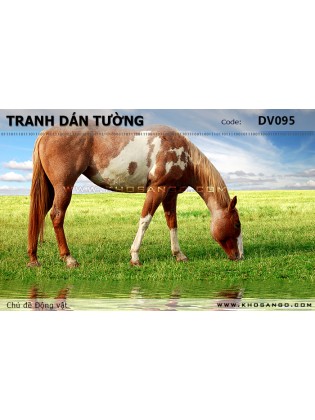 Tranh dán tường Động vật DV095 Tranh dán tường Động vật DV095