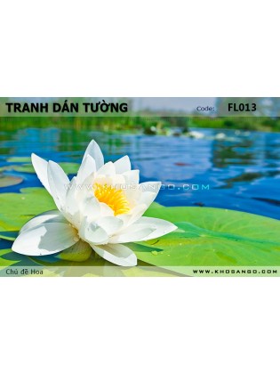 Tranh dán tường Hoa FL013 Tranh dán tường Hoa FL013