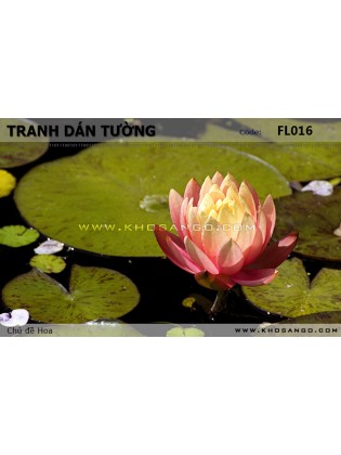 Tranh dán tường Hoa FL016 Tranh dán tường Hoa FL016