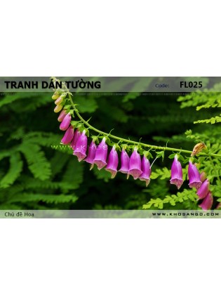 Tranh dán tường Hoa FL025 Tranh dán tường Hoa FL025