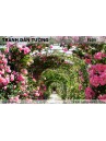 Tranh dán tường Hoa FL03