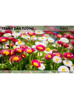 Tranh dán tường Hoa FL033 Tranh dán tường Hoa FL033