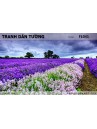 Tranh dán tường Hoa FL041