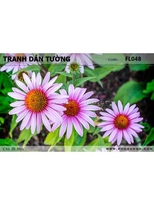 Tranh dán tường Hoa FL048 Tranh dán tường Hoa FL048