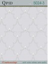 Giấy Dán Tường QPID 5024-3