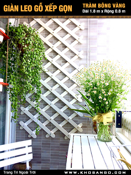 Giàn leo gỗ xếp gọn Tràm Bông Vàng-Trắng Giàn leo gỗ xếp gọn Tràm Bông Vàng-Trắng