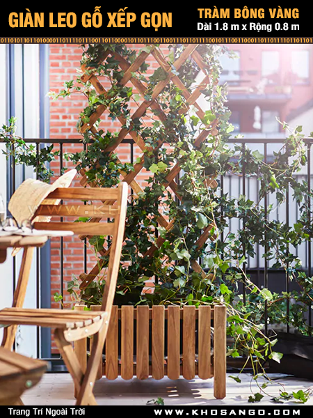 Giàn leo gỗ xếp gọn Tràm Bông Vàng-Vàng Giàn leo gỗ xếp gọn Tràm Bông Vàng-Vàng