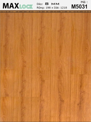 Sàn gỗ MaxLock M5031 Sàn gỗ MaxLock M5031