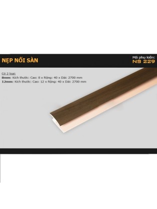 Nẹp nhựa nối sàn NS-229 Nẹp nhựa nối sàn NS-229