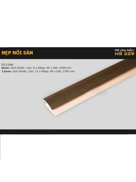 Nẹp nhựa nối sàn NS-229 Nẹp nhựa nối sàn NS-229