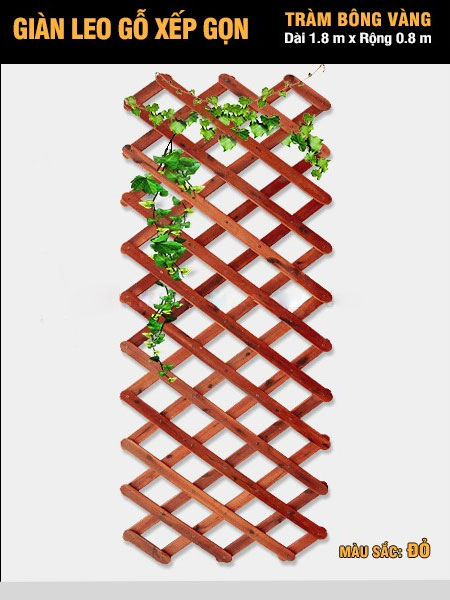 Giàn leo gỗ xếp gọn Tràm Bông Vàng-Đỏ Giàn leo gỗ xếp gọn Tràm Bông Vàng-Đỏ