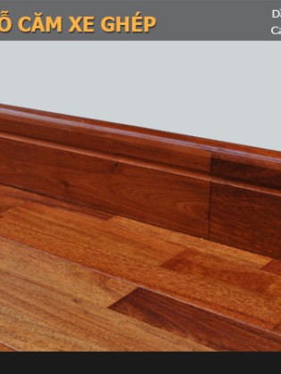 Len Tường Căm Xe Ghép