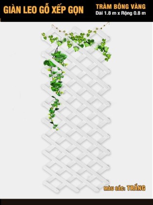 Giàn leo gỗ xếp gọn Tràm Bông Vàng-Trắng Giàn leo gỗ xếp gọn Tràm Bông Vàng-Trắng