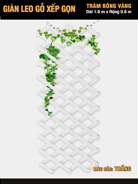 Giàn leo gỗ xếp gọn Tràm Bông Vàng-Trắng Giàn leo gỗ xếp gọn Tràm Bông Vàng-Trắng