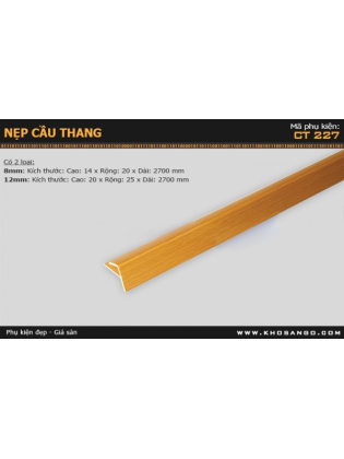 Nẹp nhựa cầu thang CT-227 Nẹp nhựa cầu thang CT-227
