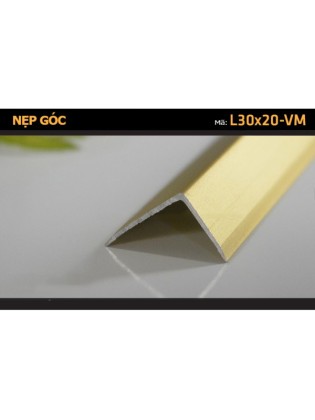 Nẹp Góc L30x20-VM