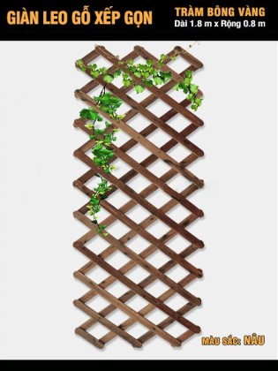 Giàn leo gỗ xếp gọn Tràm Bông Vàng-Nâu Giàn leo gỗ xếp gọn Tràm Bông Vàng-Nâu