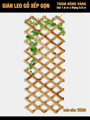 Giàn leo gỗ xếp gọn Tràm Bông Vàng-Vàng Giàn leo gỗ xếp gọn Tràm Bông Vàng-Vàng