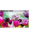 Tranh dán tường Hoa FL020