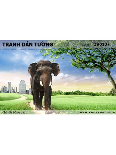 Tranh dán tường Động vật DV0107 Tranh dán tường Động vật DV0107