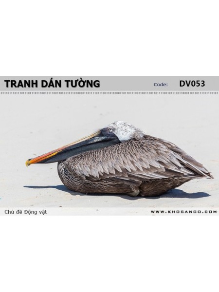 Tranh dán tường Động vật DV053 Tranh dán tường Động vật DV053