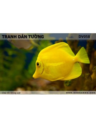 Tranh dán tường Động vật DV058 Tranh dán tường Động vật DV058
