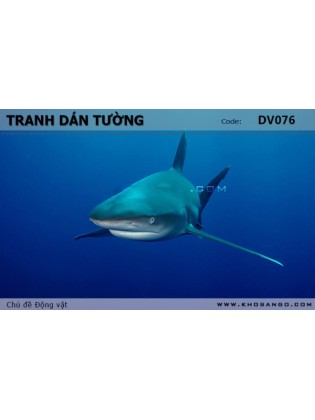 Tranh dán tường Động vật DV076 Tranh dán tường Động vật DV076