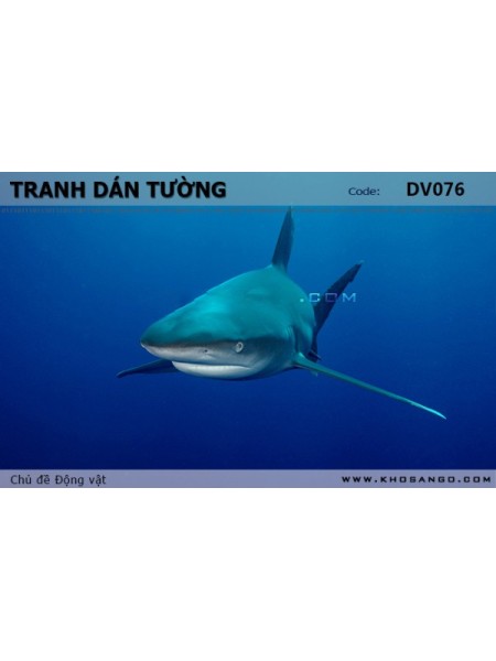 Tranh dán tường Động vật DV076 Tranh dán tường Động vật DV076