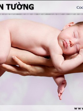 Tranh dán tường BABY BB01