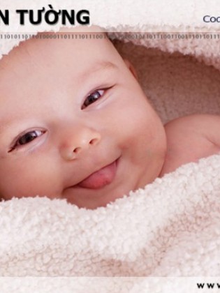 Tranh dán tường BABY BB016